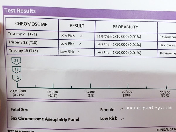 pregnancy-the-second-trimester-harmony-test-and-gender-reveal