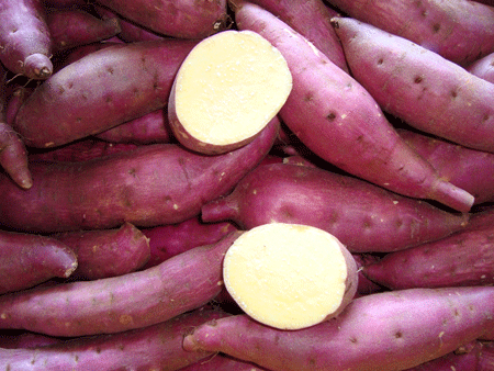 red-japanese-sweet-potato