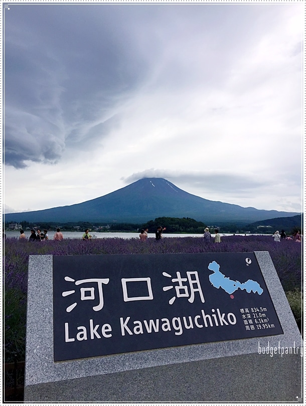 Mt Fuji2