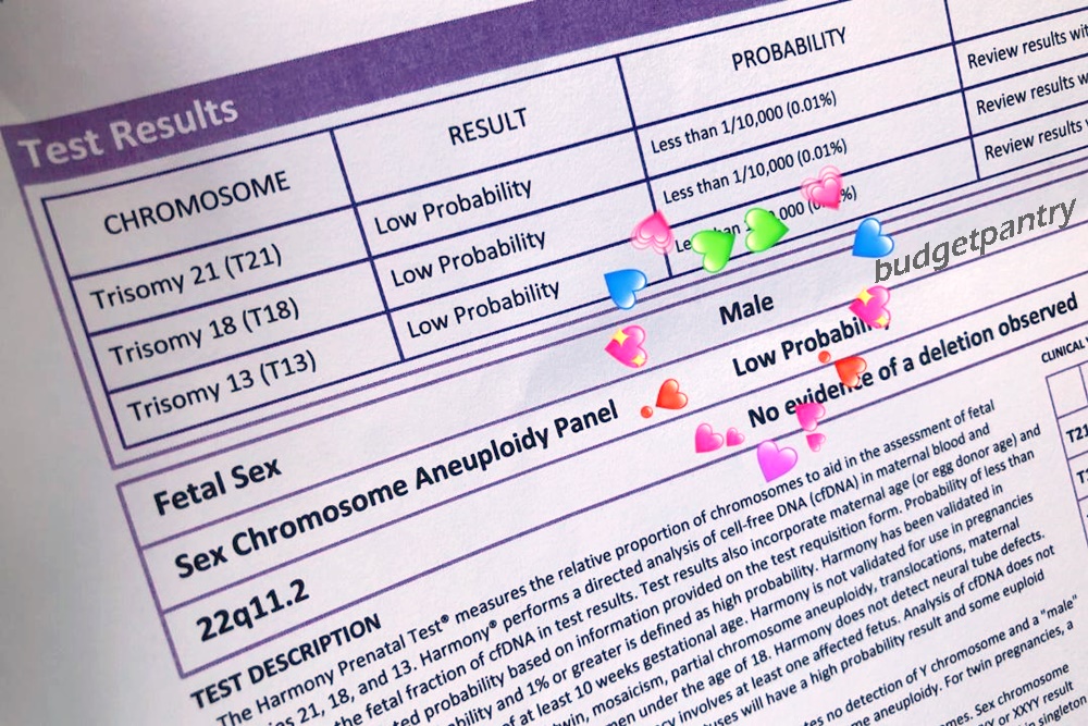 Pregnancy 2 The Second Trimester Harmony Test NT Scans And Gender 